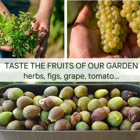 בית נופש Stone House With Amazing View