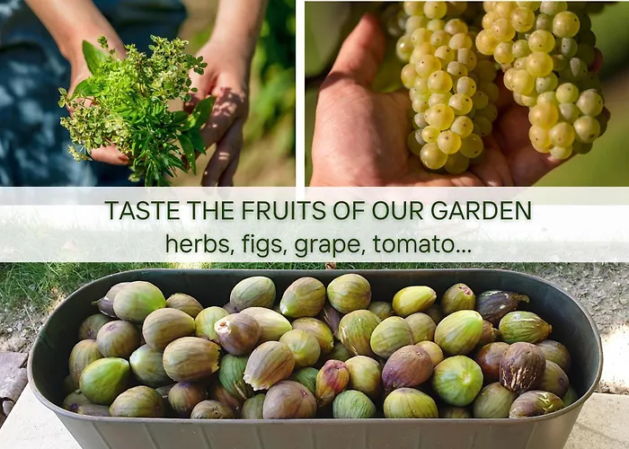 Nyaraló Lapis - Stone House With Amazing View